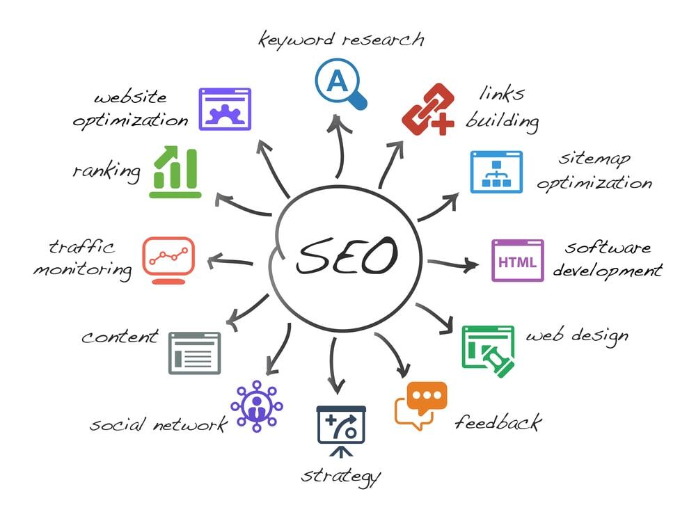 Digital Neighbor Finding the Right SEO Export Tampa