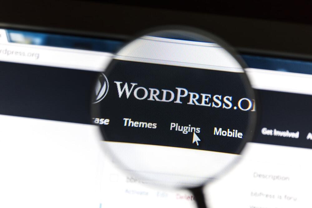 Digital Neighbor Advantages of WordPress Tampa Web Design