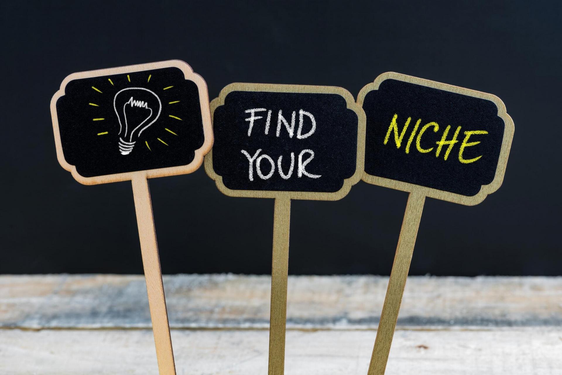 Writing an SEO Blog: How to Find Your Niche