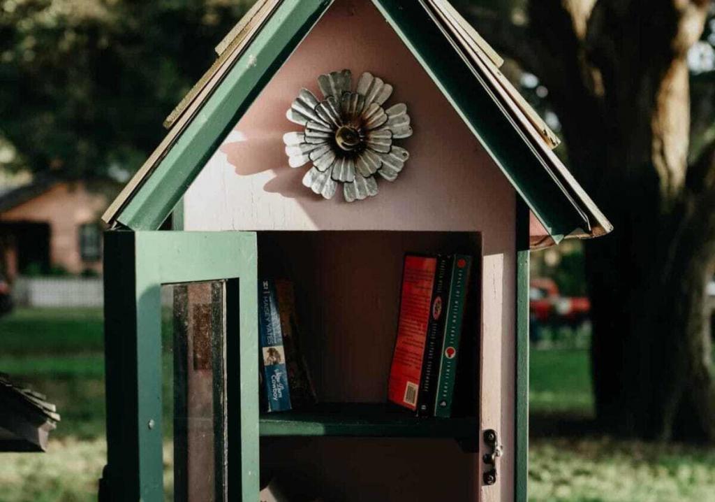 A mini public library shaped like a house with a green roof and the door open