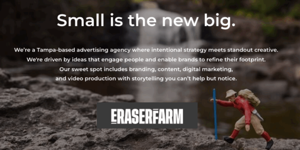 top tampa digital marketing agency eraserfarm